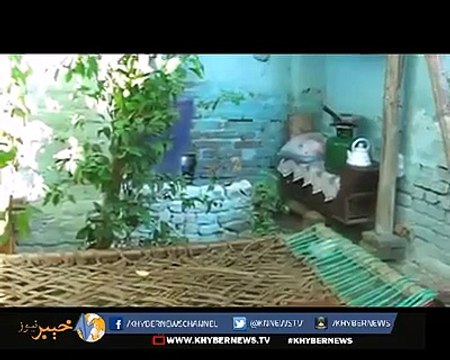 Please give me this family number I wanna send some money from abroad