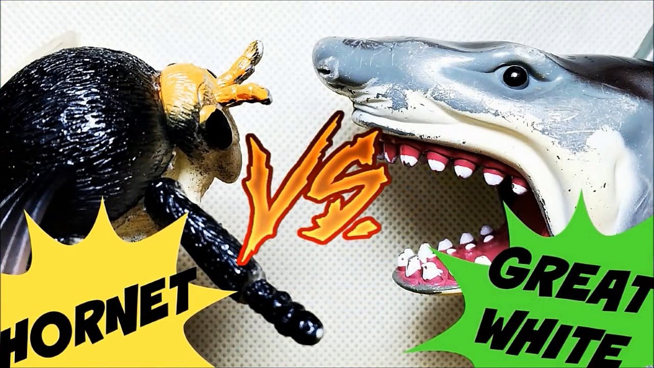 Tiburon De Juguete pelea contra Insecto loco para niños Shark Toy-HCH3aqHTsN0