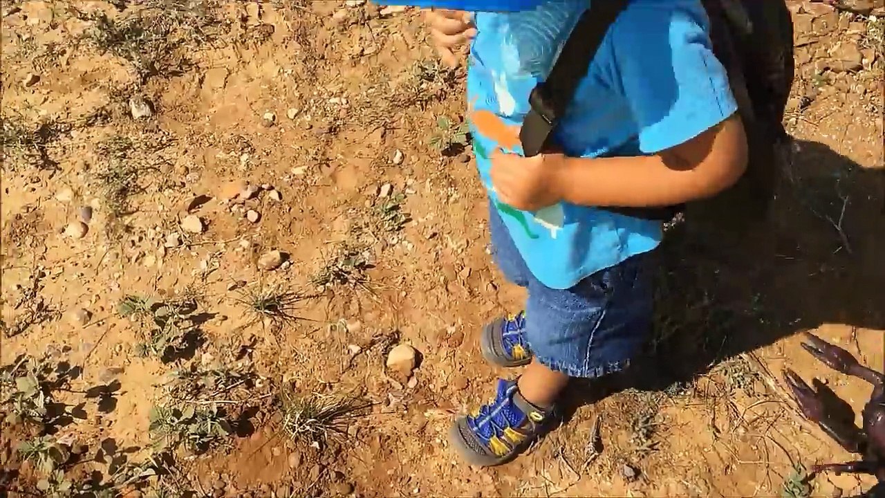 Giant Innovation Scorpion Toys!!! Creepy Crawlers Big Bugs Scolopendra Toy-2pdXQtbWuBg