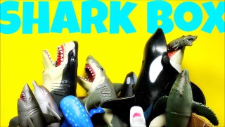 Box Full of Shark and Whale Toys tiburones de juguete--ASepnI3OsI