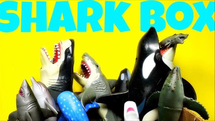 Box Full of Shark and Whale Toys tiburones de juguete--ASepnI3OsI