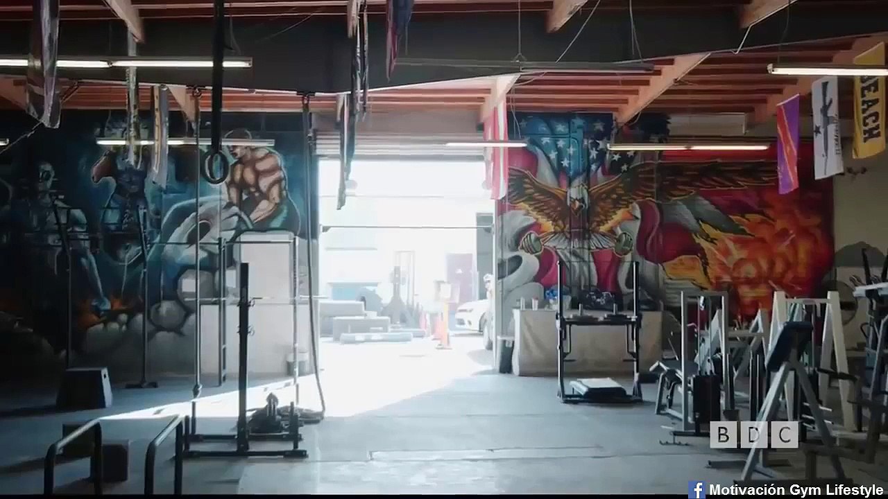 La tierra salvaje del gimnasio   Gym wildlife