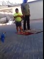 VERY FUNNY video of Angry Parrot vs boy must watch