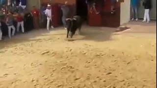 Bull Fight game The dangerious Game must see