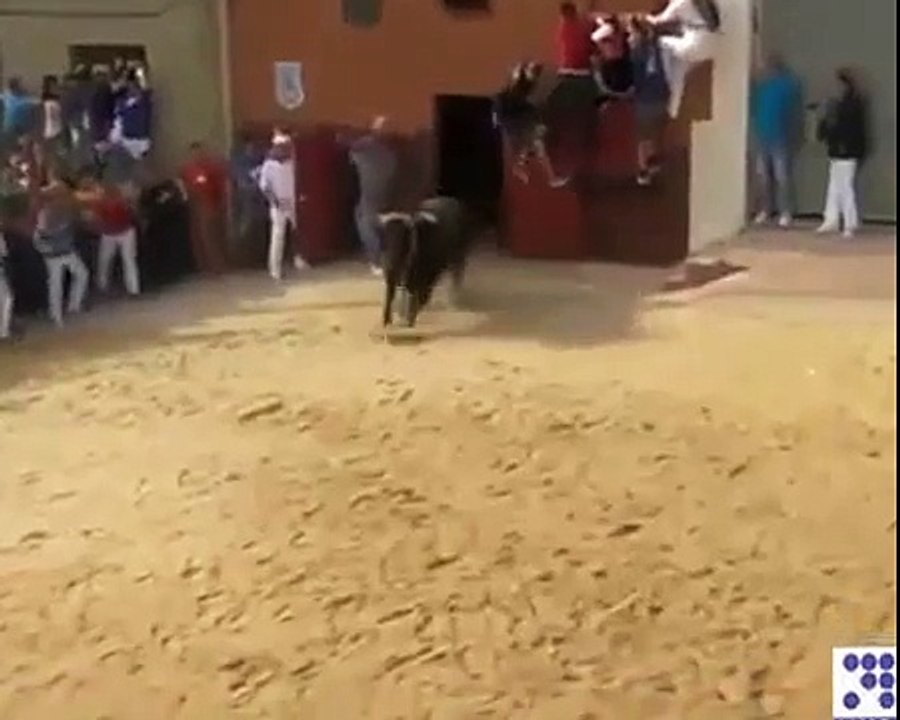 Bull Fight game The dangerious Game must see