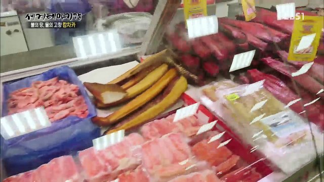 세계테마기행 - 불의 땅 물의 고향 캄차카 2부- 연어의 고향_#001