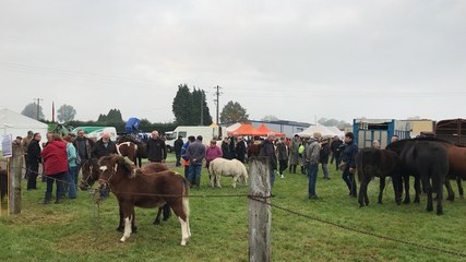 La foire d’Étouvy est lancée