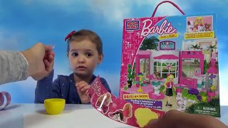 Барби с собачкой и кошечкой собираем из конструктора Mega Blocks Barbie with cat and dogs set