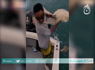 Fisherman Caught in his Own Net ..