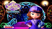 Sofia The First: The Secret Library App - The Tale Of WildWing Valley Part 1