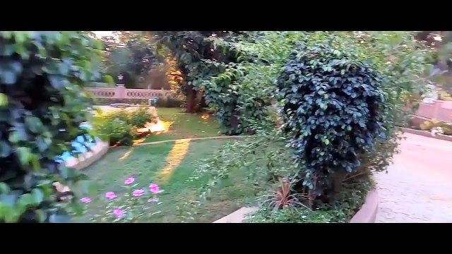 Affordable Filmmaking / Camera Gears