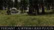 Skyrim SE Mods: Verdant - A INCREDIBLE Skyrim Grass Plugin