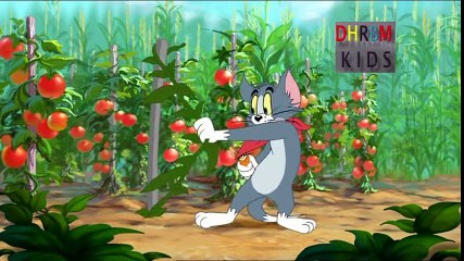 توم وجيري عربي- حلقة حراسة المحاصيل -الجزء الثاني - TOM AND JERRY