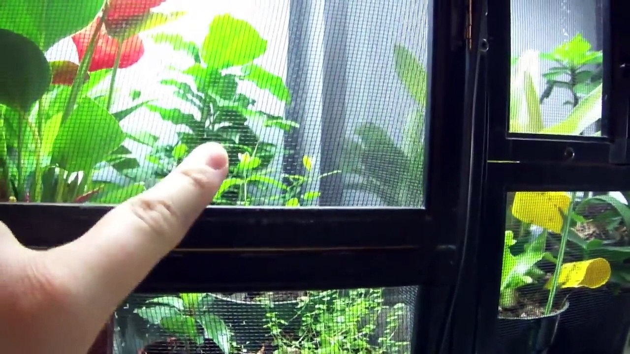 OCTOBER REPTILE ROOM TOUR!!