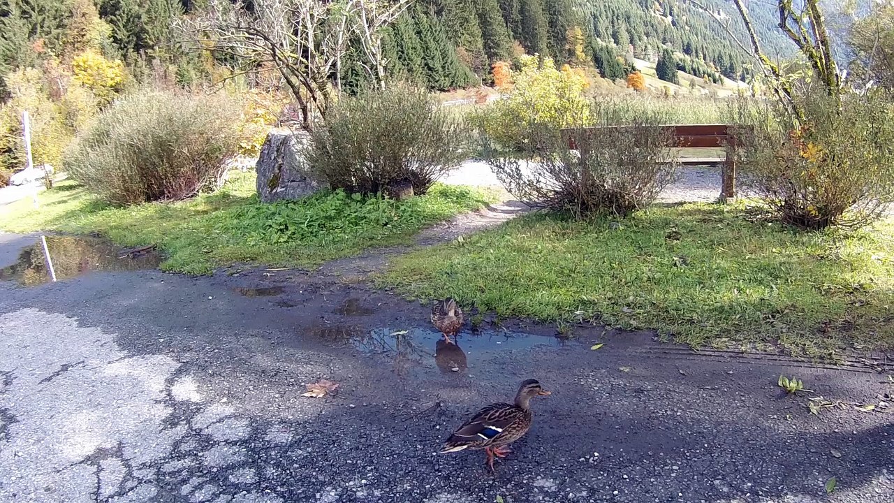 2017 Tour Vorarlberg 29.9-2.10