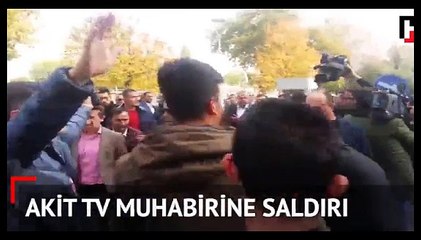 Birbirlerini Yemeye Devam Ediyorlar