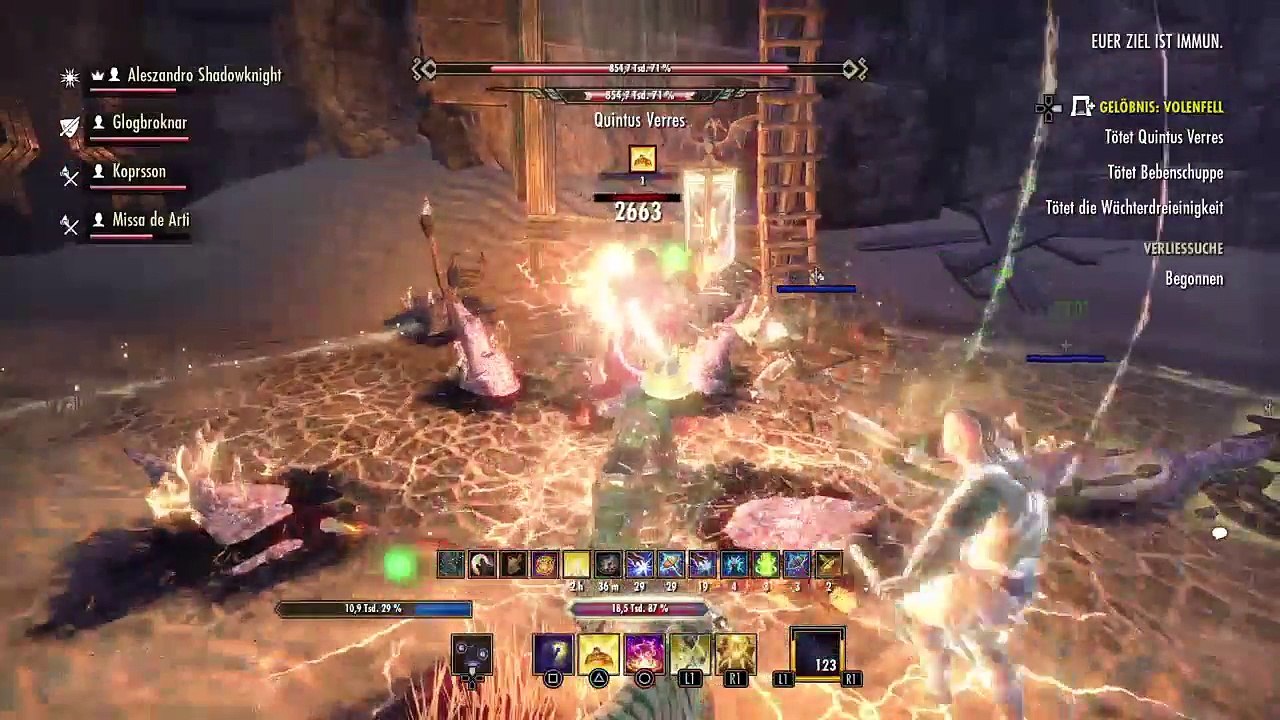 DonAleszandro The Elder Scrolls «-Mit dem Handelsheiler durch das Volenfell-» (196)