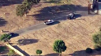 Police chase reckless driver