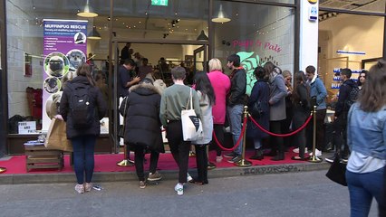 Royaume-Uni: câlins et carlins au Pug café de Londres