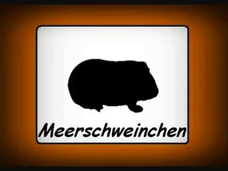 Tiergeräusche - Tierstimmen für Kleinkinder