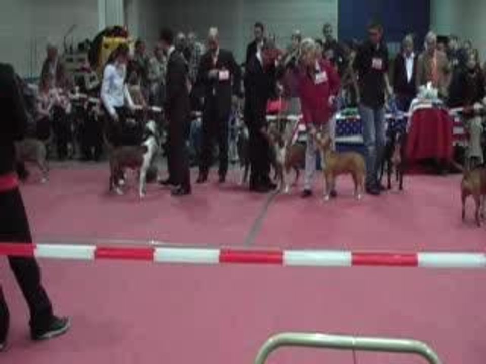 luxembourg expo
