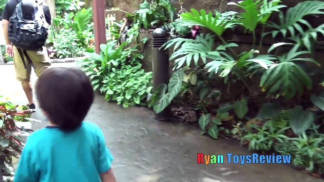 KIDS Family Fun Trip to Rainforest Animals for Children Toys for Kids Video Ryan ToysReview