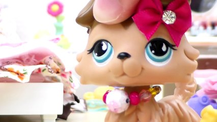 LPS- Cleaning My Room [Skit]