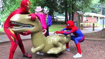 Dondurulmuş Elsa Diş Hekimi vs! W / Örümcek Adam, Ironman Joker Prank Superhero Fun!