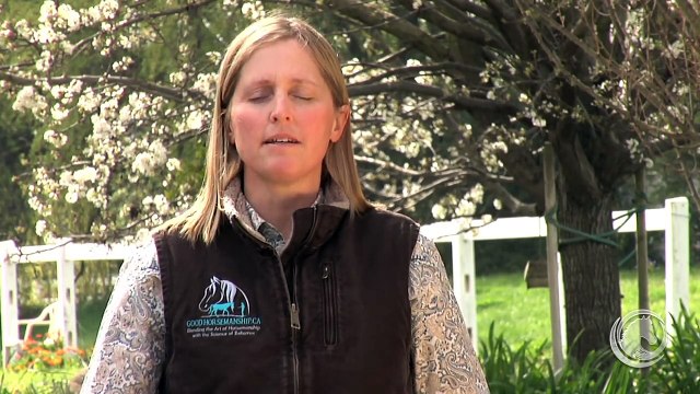 HOW HORSES LEARN: LOW-STRESS SOLUTIONS TO BEHAVIOR PROBLEMS