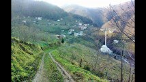 Araklı Pervane Köyü