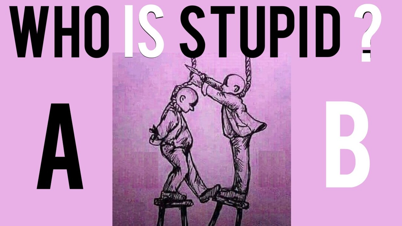 Who is stupid? A or B?