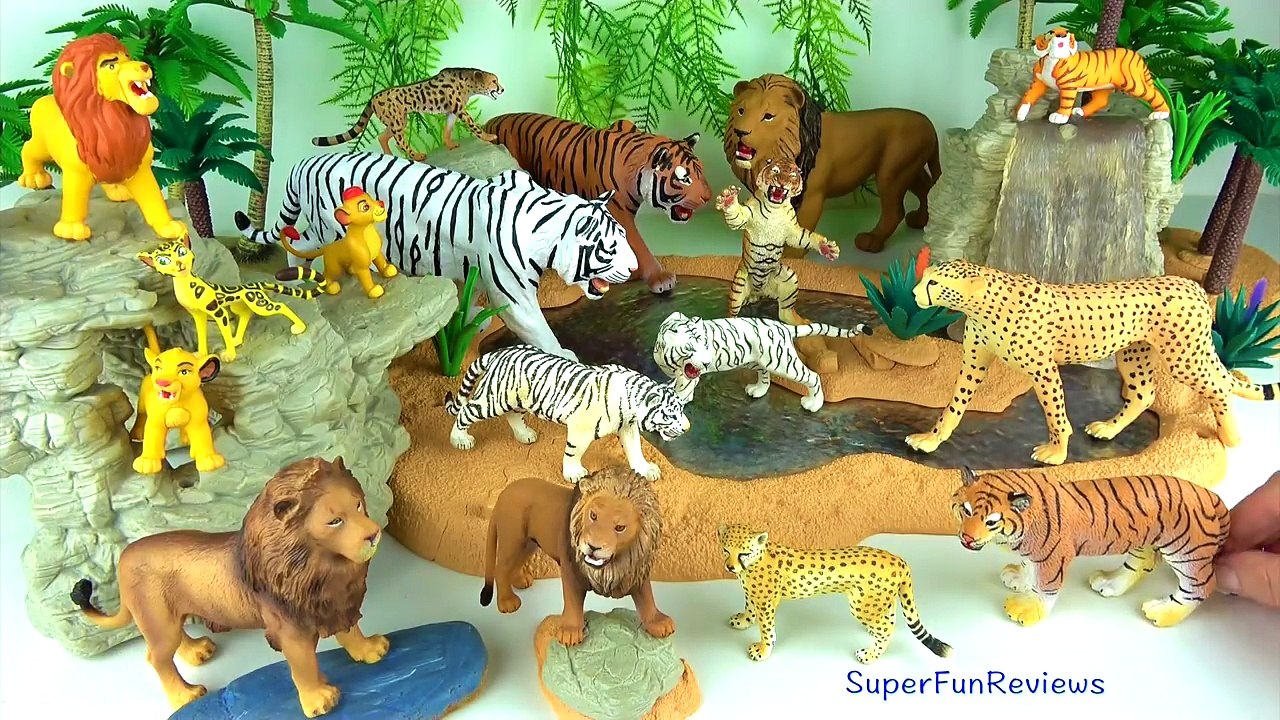 Hayvan Adlarını ve Seslerini Öğrenin Aslanlar Kaplanlar Çitalar Aslan Kral ve Aslan Muhafızları