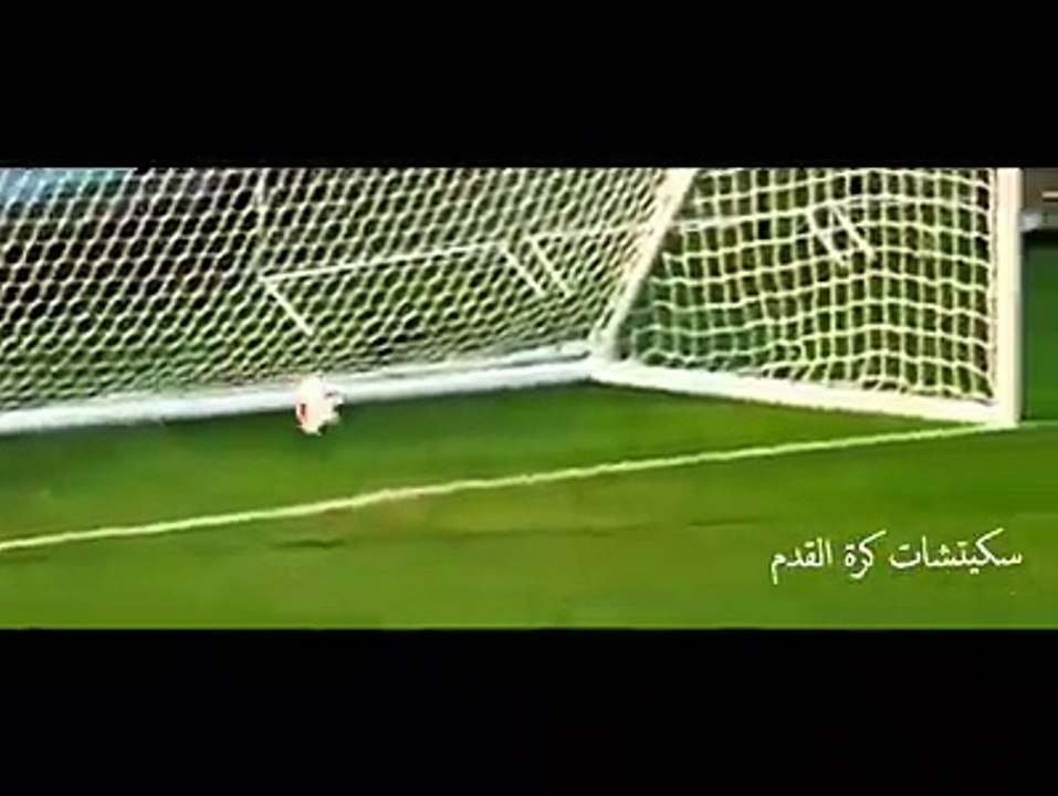 اغبى حراس المرمى في العالم