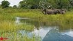 Amazing Elephant Save Baby Elephant From Crocodile Hunting | Animals Hunting Fail