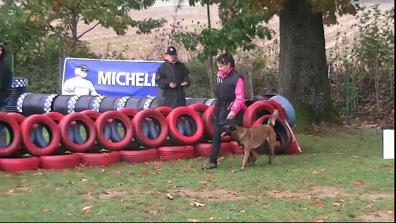 Let it Be du Cami de Catheric - Mondioring 1