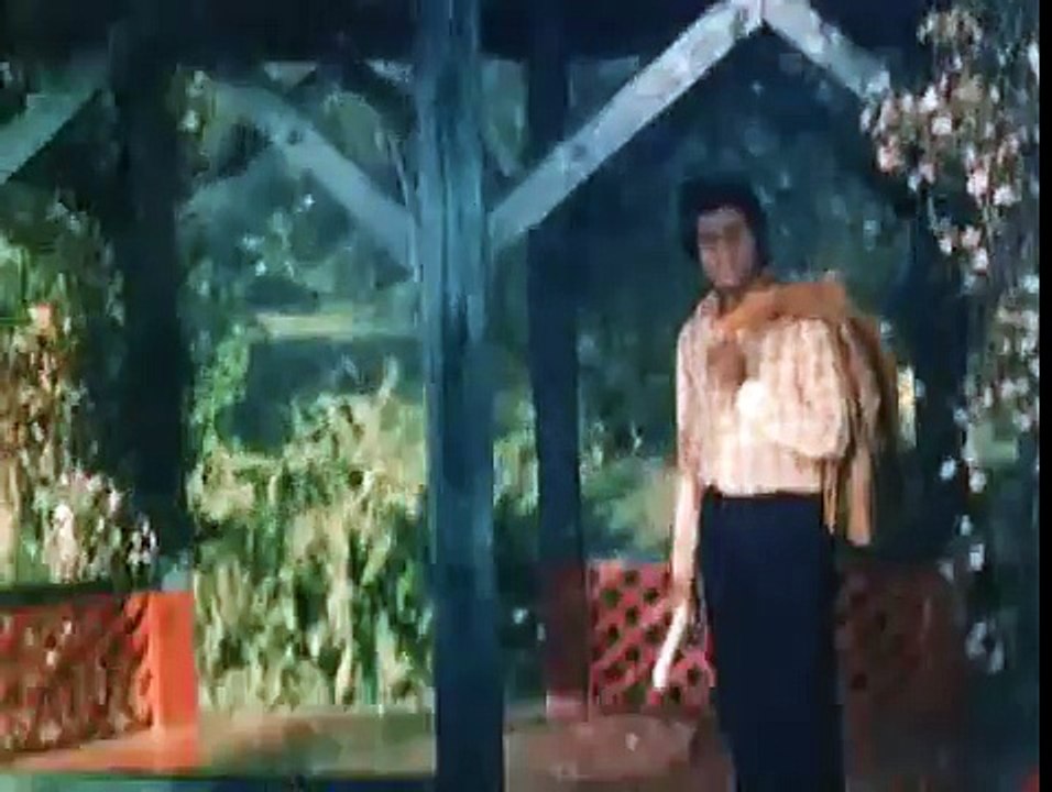 LATA MANGESHKAR - HAI HAI YEH MAJBOORI - ROTI KAPADA AUR MAKAN 1974