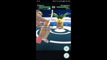 Pokémon GO Gym Battles Level 6 Gym Poliwrath Arcanine Exeggutor Persian Pidgeot Golem & more