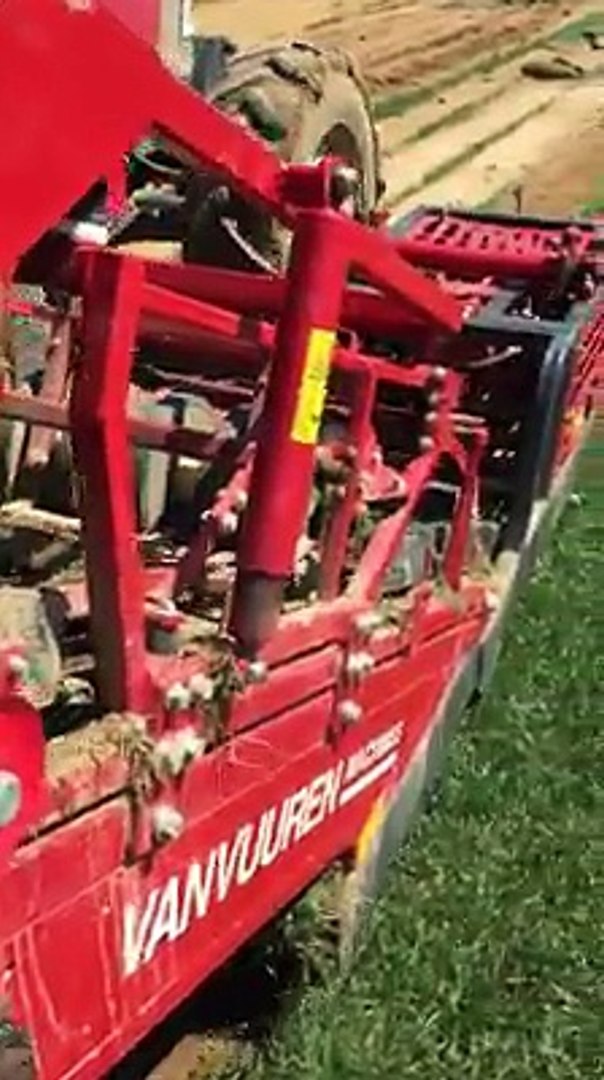 Produced, ready lawn for soccer fields