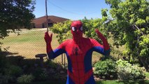 Spiderman Grows Giant With Marshmallows Elsa & Hulk! Fun Superhero Kids In Real Life In 4K