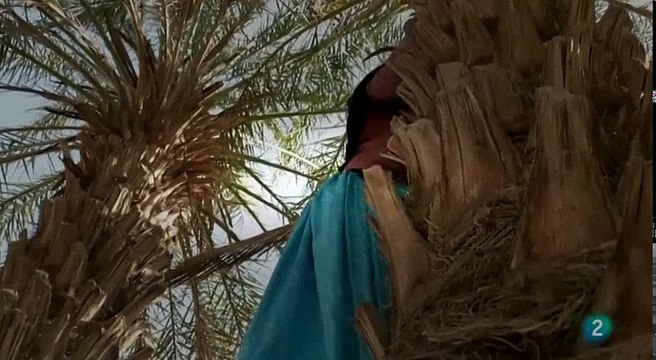 Planeta Arena 02 - Sahara, reconquistando las tierras perdidas - Documental