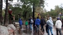 Splash Mountain Nightvision On-ride (Complete HD Experience) Disneyland California