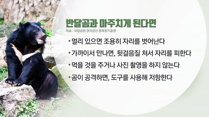 반달곰 만나면 뒷걸음질로 피해야 / YTN