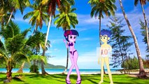 My Little Pony MLP Equestria Girls Transforms with Animation Love Wedding Story