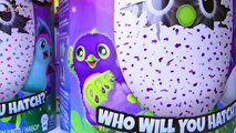 Hatching the Penguala and Draggle Hatchimals Lego Friends Girls Pets Silly Play - Kids Toys