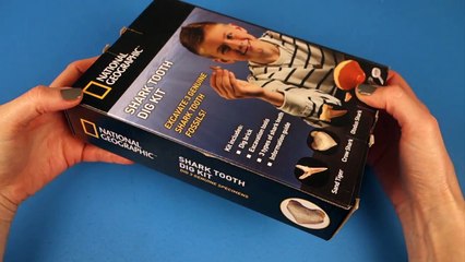 Shark Week! Shark Tooth Dig by National Geographic