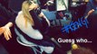 Gigi Hadid Snapchat Story ft. Zayn Malik, Taylor Swift, Kendall Jenner, Cara Delevingne etc. Part 1