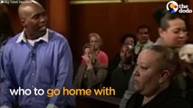 Judge Judy Lets Dog Decide Who To Go Home With | The Dodo