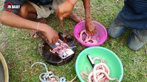 Wow! Amazing 4 Children Cook Snake For Dinner - How to Cook Snake in Cambodia