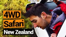 4WD Safari in New Zealand with Makoura Lodge  - New Zealand's Biggest Gap Year – BackpackerGuide.NZ