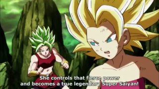 Dragon Ball Super Episode 114 Preview ( English Sub )